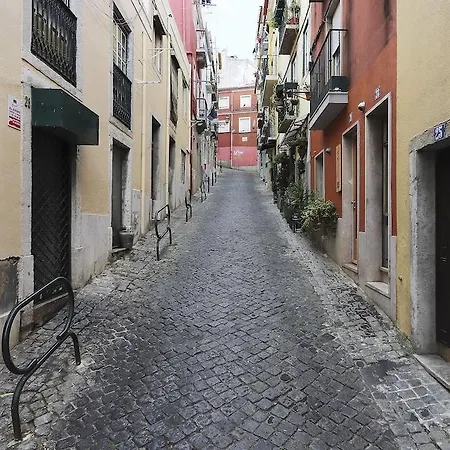 Combro Classic By Homing * Lisbon
